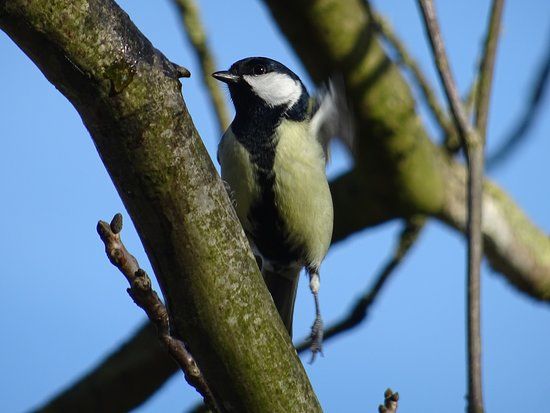 Erfgoedhuis Meerssen-Natuur Historisch Museum Meerssen