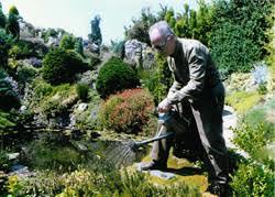 Stichting Vrienden van Rotstuin Bèr Slangen